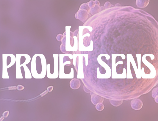 Ton histoire commence bien avant ta&nbsp;naissance